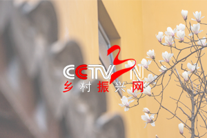 福建武夷山：茶韵墨香.文武兼修