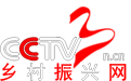 乡村振兴网
