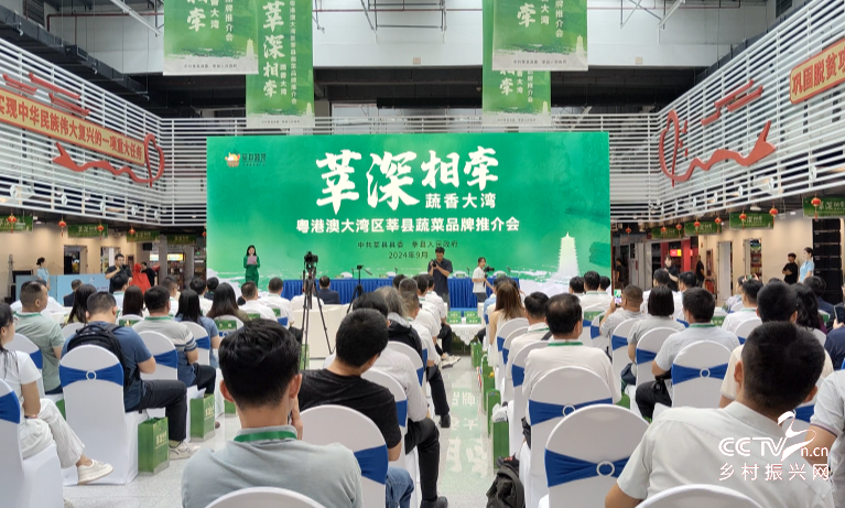 粤港澳大湾区莘县蔬菜品牌推介会在深圳···