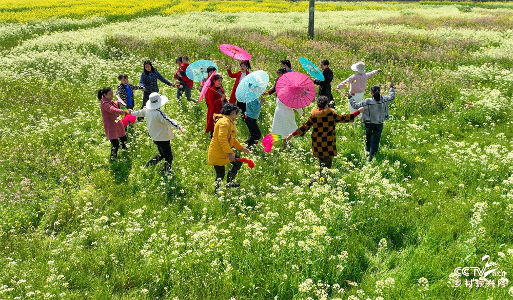 福建武夷山：以花为媒 促农文旅融合发···