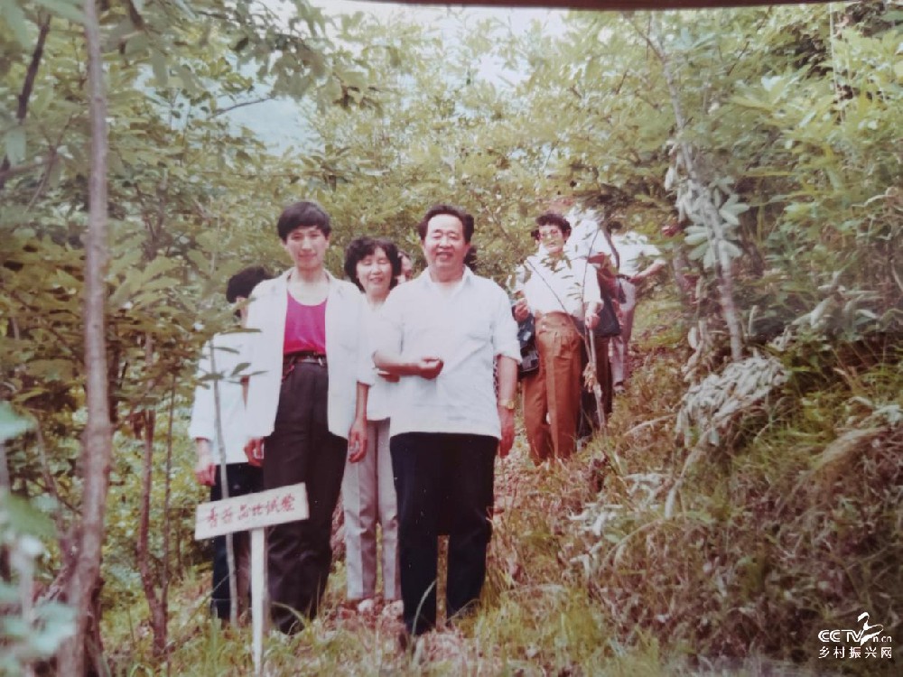 扎根农村三十年 菌药飘香富万民